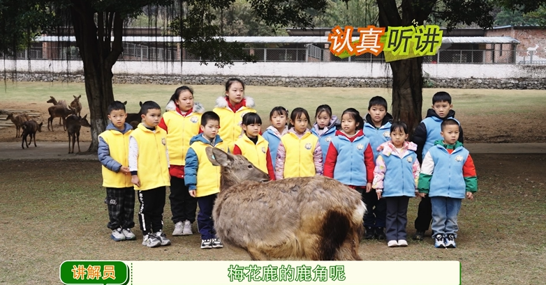 ������ɣ����꡷�����ڡ���¹����