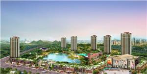 ���ֺ���