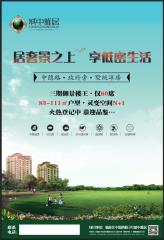 �����ž�