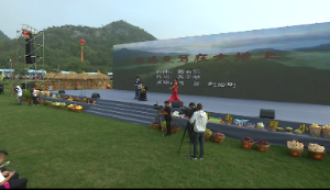 回看：“大碧头杯”第四届全国农民体育健身大赛暨2020年广西庆祝中国农民丰收节启动仪式