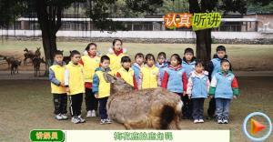 ������ɣ����꡷�����ڡ���¹����